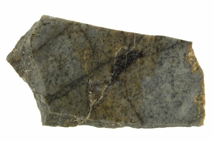 Rare, Lunar Basaltic Breccia Meteorite ( g) Slice - NWA #308387